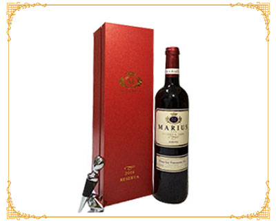 ����˹���-��֧�b��ϲ�c�t��