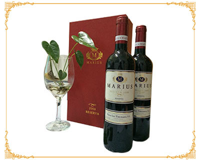 ����˹���-�pֻ�b��ϲ�c�t��