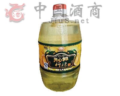 �_�İ�ʾƣ�2L��