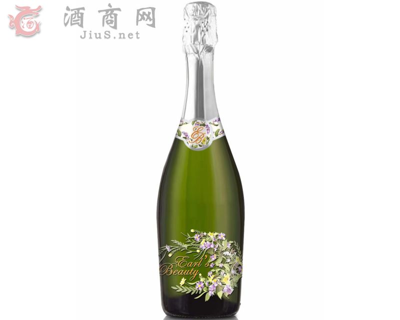 �����t����ݾ�